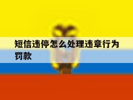 短信违停怎么处理违章行为罚款