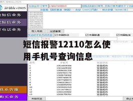 短信报警12110怎么使用手机号查询信息