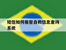 短信如何报警自救信息查询系统