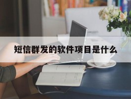 短信群发的软件项目是什么