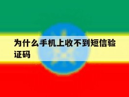 为什么手机上收不到短信验证码