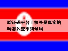 验证码平台手机号是真实的吗怎么查不到号码