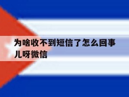 为啥收不到短信了怎么回事儿呀微信的简单介绍