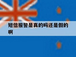 短信报警是真的吗还是假的啊