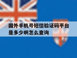 关于国外手机号短信验证码平台是多少啊怎么查询的信息