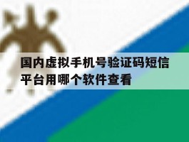 国内虚拟手机号验证码短信平台用哪个软件查看的简单介绍