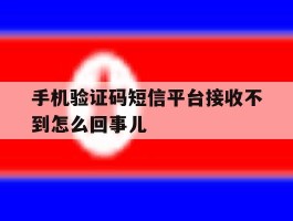 手机验证码短信平台接收不到怎么回事儿的简单介绍