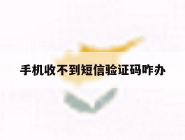 手机收不到短信验证码咋办