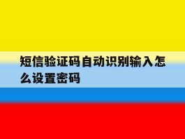 短信验证码自动识别输入怎么设置密码