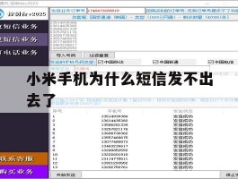 小米手机为什么短信发不出去了