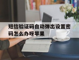 短信验证码自动弹出设置密码怎么办呀苹果