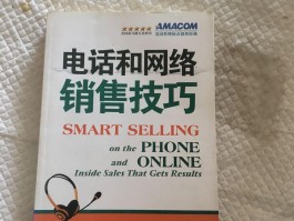 做网络电话销售怎么样呢赚钱吗