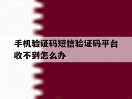 手机验证码短信验证码平台收不到怎么办