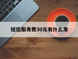 短信服务费30元有什么用