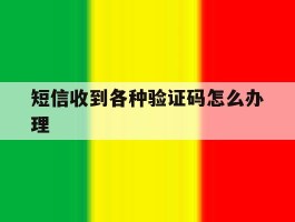 短信收到各种验证码怎么办理