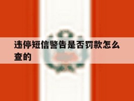 违停短信警告是否罚款怎么查的