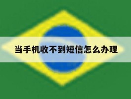 当手机收不到短信怎么办理