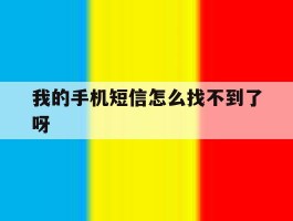 我的手机短信怎么找不到了呀