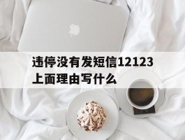关于违停没有发短信12123上面理由写什么的信息