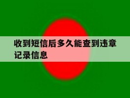 收到短信后多久能查到违章记录信息