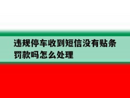 违规停车收到短信没有贴条罚款吗怎么处理