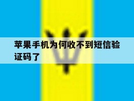 苹果手机为何收不到短信验证码了
