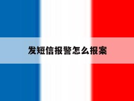 发短信报警怎么报案