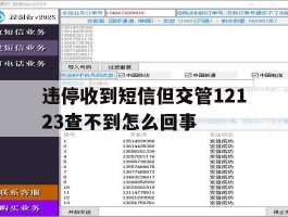 违停收到短信但交管12123查不到怎么回事