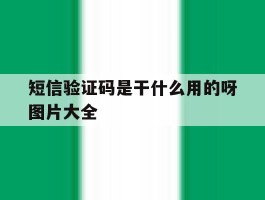 短信验证码是干什么用的呀图片大全