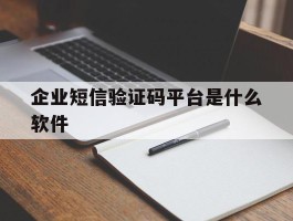企业短信验证码平台是什么软件