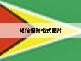 短信报警格式图片