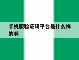 手机版验证码平台是什么样的啊