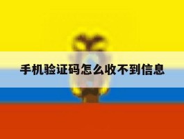 手机验证码怎么收不到信息