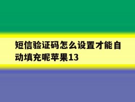 关于短信验证码怎么设置才能自动填充呢苹果13的信息