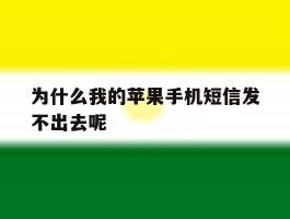 为什么我的苹果手机短信发不出去呢