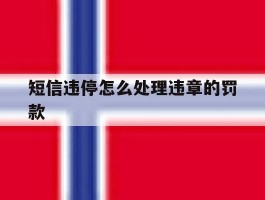 短信违停怎么处理违章的罚款