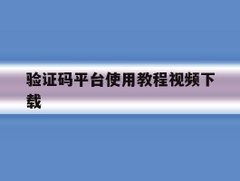 验证码平台使用教程视频下载