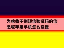 包含为啥收不到短信验证码的信息呢苹果手机怎么设置的词条