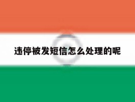 违停被发短信怎么处理的呢