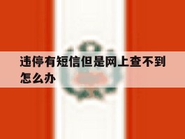违停有短信但是网上查不到怎么办