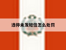 违停未发短信怎么处罚