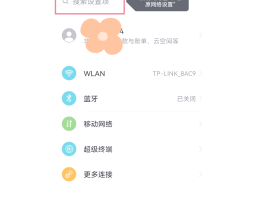 网络虚拟电话免费版网页打不开了怎么回事呢