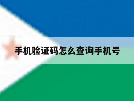 手机验证码怎么查询手机号