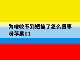 为啥收不到短信了怎么回事呀苹果11
