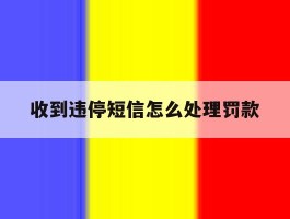 收到违停短信怎么处理罚款