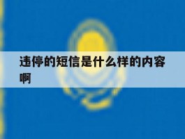 违停的短信是什么样的内容啊