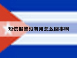短信报警没有用怎么回事啊