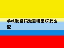 手机验证码发到哪里呀怎么查