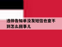 违停告知单没发短信也查不到怎么回事儿