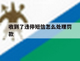 收到了违停短信怎么处理罚款